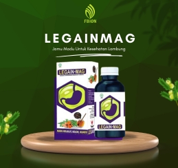 LEGAINMAG